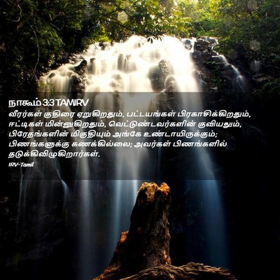 Picture 02 - நாகூம் 3:3 TAMIRV - வீரர்கள் குதிரை - Bible Verse Picture