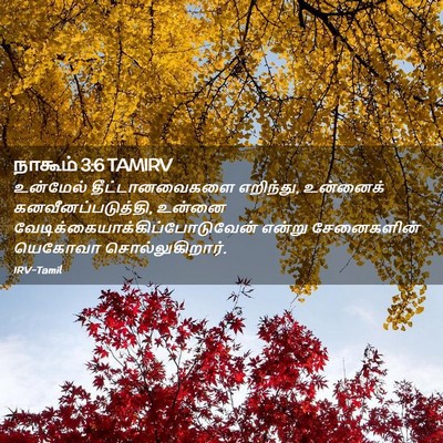 Picture 02 - நாகூம் 3:6 TAMIRV - உன்மேல் - Bible Verse Picture