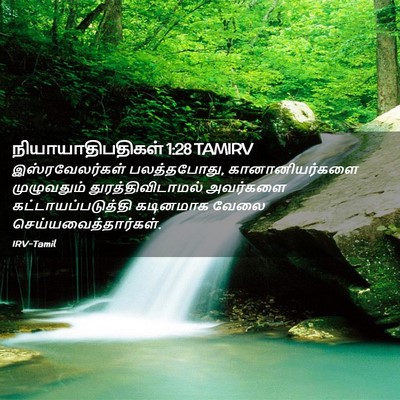 Picture 02 - நியாயாதிபதிகள் 1:28 TAMIRV - இஸ்ரவேலர்கள் - Bible Verse Picture