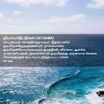 Picture 02 - நியாயாதிபதிகள் 1:30 TAMIRV - செபுலோன் - Bible Verse Picture