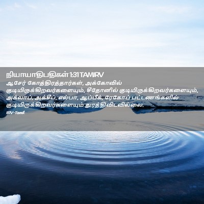 Picture 02 - நியாயாதிபதிகள் 1:31 TAMIRV - ஆசேர் - Bible Verse Picture