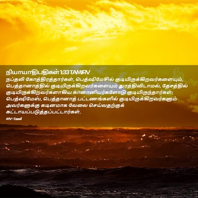 Picture 02 - நியாயாதிபதிகள் 1:33 TAMIRV - நப்தலி - Bible Verse Picture