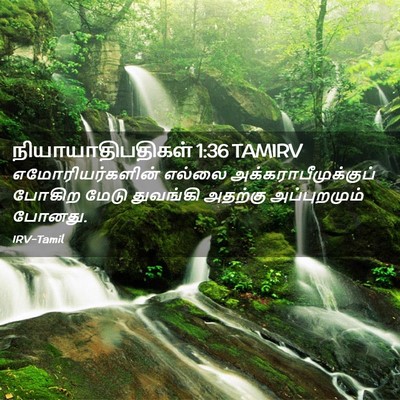 Picture 02 - நியாயாதிபதிகள் 1:36 TAMIRV - எமோரியர்களின் - Bible Verse Picture