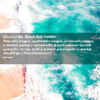 Picture 02 - நியாயாதிபதிகள் 10:12 TAMIRV - சீதோனியர்களும், - Bible Verse Picture