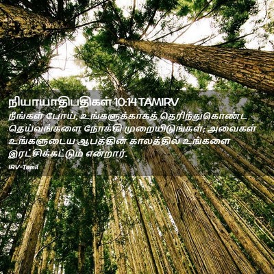 Picture 02 - நியாயாதிபதிகள் 10:14 TAMIRV - நீங்கள் போய், - Bible Verse Picture