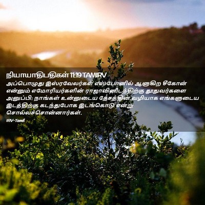 Picture 02 - நியாயாதிபதிகள் 11:19 TAMIRV - அப்பொழுது - Bible Verse Picture