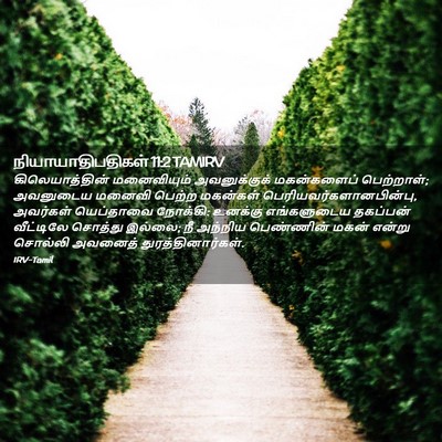 Picture 02 - நியாயாதிபதிகள் 11:2 TAMIRV - கிலெயாத்தின் - Bible Verse Picture