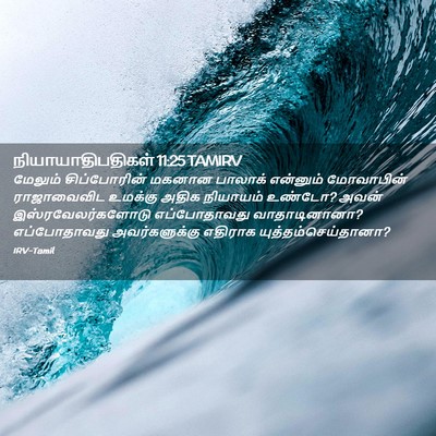 Picture 02 - நியாயாதிபதிகள் 11:25 TAMIRV - மேலும் சிப்போரின் - Bible Verse Picture