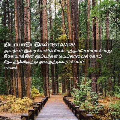 Picture 02 - நியாயாதிபதிகள் 11:5 TAMIRV - அவர்கள் - Bible Verse Picture