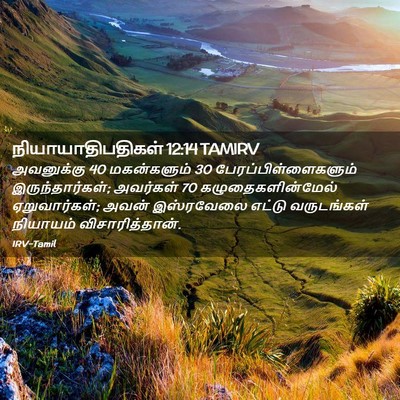 Picture 02 - நியாயாதிபதிகள் 12:14 TAMIRV - அவனுக்கு 40 - Bible Verse Picture