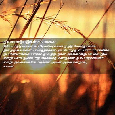 Picture 02 - நியாயாதிபதிகள் 12:5 TAMIRV - கீலேயாத்தியர்கள் - Bible Verse Picture