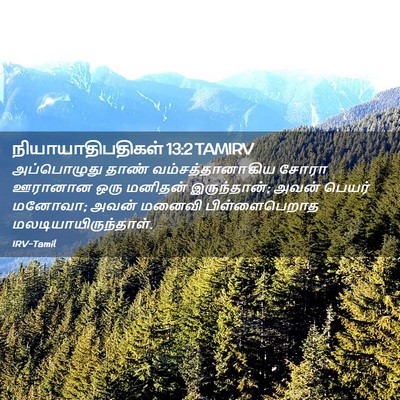 Picture 02 - நியாயாதிபதிகள் 13:2 TAMIRV - அப்பொழுது தாண் - Bible Verse Picture