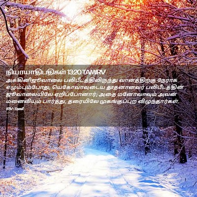 Picture 02 - நியாயாதிபதிகள் 13:20 TAMIRV - அக்கினிஜூவாலை - Bible Verse Picture