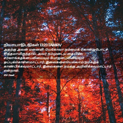 Picture 02 - நியாயாதிபதிகள் 13:23 TAMIRV - அதற்கு அவன் மனைவி: - Bible Verse Picture