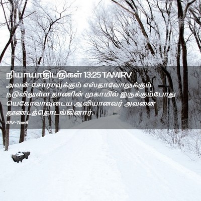 Picture 02 - நியாயாதிபதிகள் 13:25 TAMIRV - அவன் சோராவுக்கும் - Bible Verse Picture