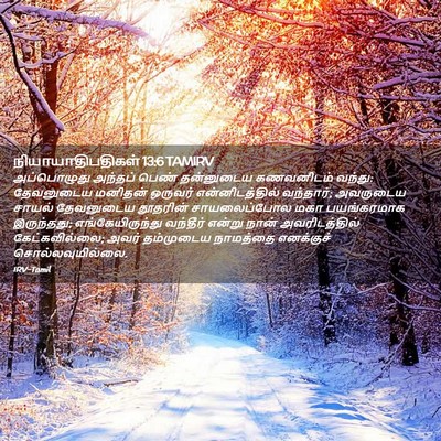 Picture 02 - நியாயாதிபதிகள் 13:6 TAMIRV - அப்பொழுது அந்தப் - Bible Verse Picture