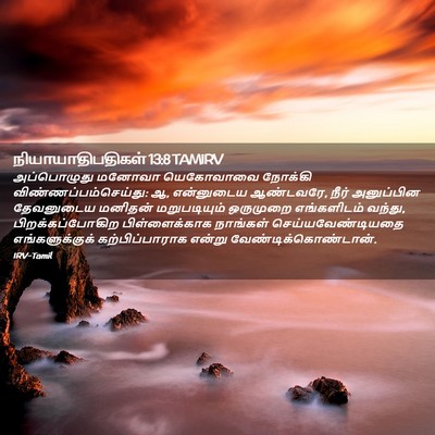 Picture 02 - நியாயாதிபதிகள் 13:8 TAMIRV - அப்பொழுது மனோவா - Bible Verse Picture