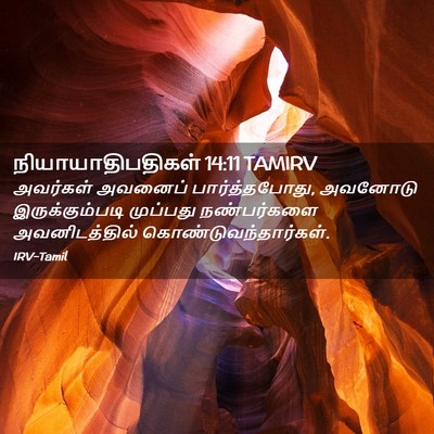 Picture 02 - நியாயாதிபதிகள் 14:11 TAMIRV - அவர்கள் அவனைப் - Bible Verse Picture