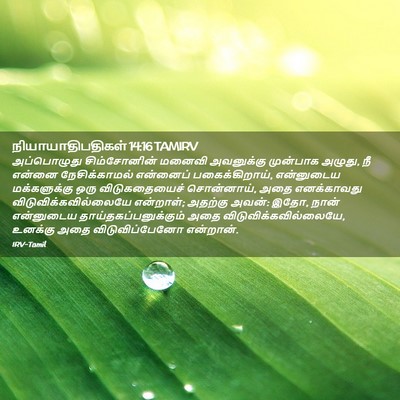Picture 02 - நியாயாதிபதிகள் 14:16 TAMIRV - அப்பொழுது - Bible Verse Picture