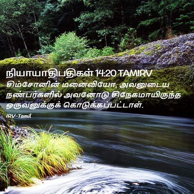 Picture 02 - நியாயாதிபதிகள் 14:20 TAMIRV - சிம்சோனின் - Bible Verse Picture
