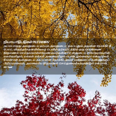 Picture 02 - நியாயாதிபதிகள் 14:3 TAMIRV - அப்பொழுது அவனுடைய - Bible Verse Picture