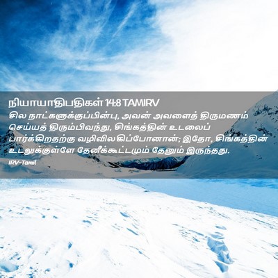 Picture 02 - நியாயாதிபதிகள் 14:8 TAMIRV - சில - Bible Verse Picture