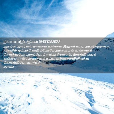 Picture 02 - நியாயாதிபதிகள் 15:13 TAMIRV - அதற்கு அவர்கள்: - Bible Verse Picture