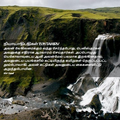 Picture 02 - நியாயாதிபதிகள் 15:14 TAMIRV - அவன் - Bible Verse Picture
