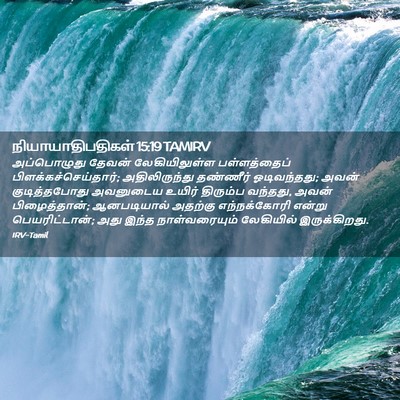 Picture 02 - நியாயாதிபதிகள் 15:19 TAMIRV - அப்பொழுது தேவன் - Bible Verse Picture