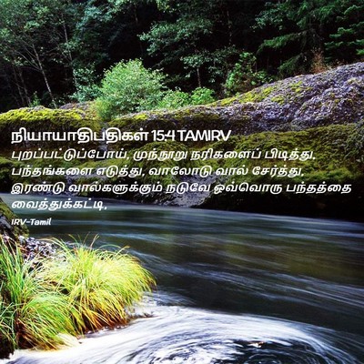 Picture 02 - நியாயாதிபதிகள் 15:4 TAMIRV - புறப்பட்டுப்போய், - Bible Verse Picture
