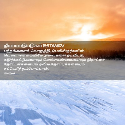 Picture 02 - நியாயாதிபதிகள் 15:5 TAMIRV - பந்தங்களைக் - Bible Verse Picture