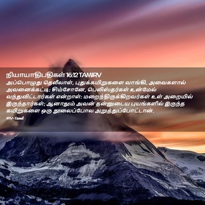 Picture 02 - நியாயாதிபதிகள் 16:12 TAMIRV - அப்பொழுது - Bible Verse Picture