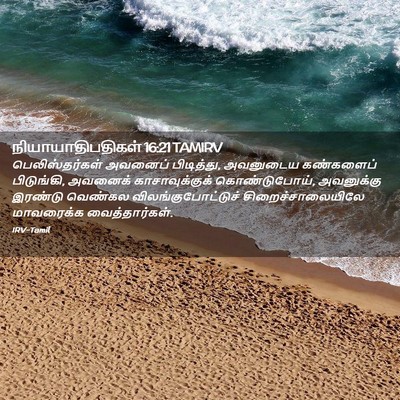 Picture 02 - நியாயாதிபதிகள் 16:21 TAMIRV - பெலிஸ்தர்கள் - Bible Verse Picture