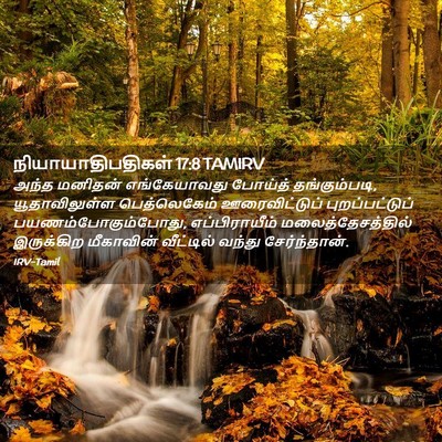Picture 02 - நியாயாதிபதிகள் 17:8 TAMIRV - அந்த மனிதன் - Bible Verse Picture