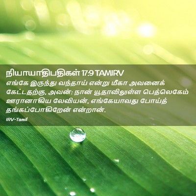 Picture 02 - நியாயாதிபதிகள் 17:9 TAMIRV - எங்கே இருந்து - Bible Verse Picture