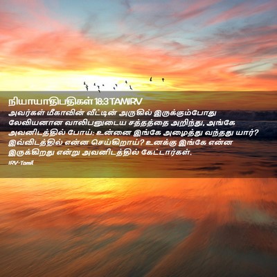 Picture 02 - நியாயாதிபதிகள் 18:3 TAMIRV - அவர்கள் மீகாவின் - Bible Verse Picture