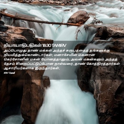 Picture 02 - நியாயாதிபதிகள் 18:30 TAMIRV - அப்பொழுது தாண் - Bible Verse Picture