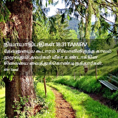 Picture 02 - நியாயாதிபதிகள் 18:31 TAMIRV - தேவனுடைய கூடாரம் - Bible Verse Picture