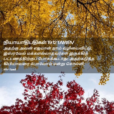 Picture 02 - நியாயாதிபதிகள் 19:12 TAMIRV - அதற்கு அவன் - Bible Verse Picture