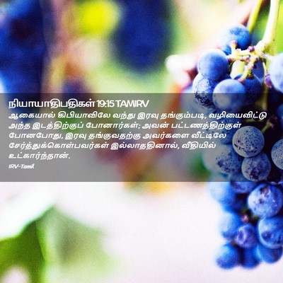 Picture 02 - நியாயாதிபதிகள் 19:15 TAMIRV - ஆகையால் - Bible Verse Picture