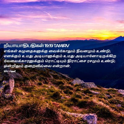 Picture 02 - நியாயாதிபதிகள் 19:19 TAMIRV - எங்கள் - Bible Verse Picture
