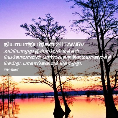 Picture 02 - நியாயாதிபதிகள் 2:11 TAMIRV - அப்பொழுது - Bible Verse Picture