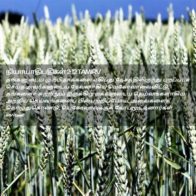 Picture 02 - நியாயாதிபதிகள் 2:12 TAMIRV - தங்களுடைய - Bible Verse Picture