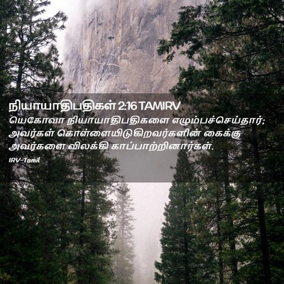 Picture 02 - நியாயாதிபதிகள் 2:16 TAMIRV - யெகோவா - Bible Verse Picture