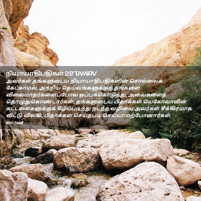 Picture 02 - நியாயாதிபதிகள் 2:17 TAMIRV - அவர்கள் தங்களுடைய - Bible Verse Picture