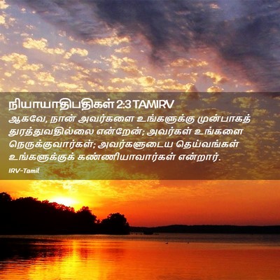 Picture 02 - நியாயாதிபதிகள் 2:3 TAMIRV - ஆகவே, நான் அவர்களை - Bible Verse Picture