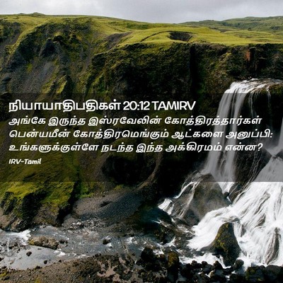 Picture 02 - நியாயாதிபதிகள் 20:12 TAMIRV - அங்கே இருந்த - Bible Verse Picture