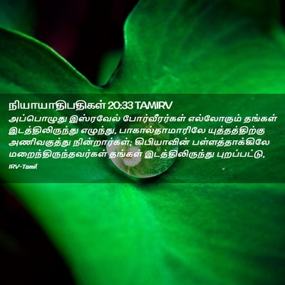 Picture 02 - நியாயாதிபதிகள் 20:33 TAMIRV - அப்பொழுது - Bible Verse Picture