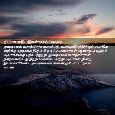 Picture 02 - நியாயாதிபதிகள் 20:42 TAMIRV - இஸ்ரவேல் - Bible Verse Picture
