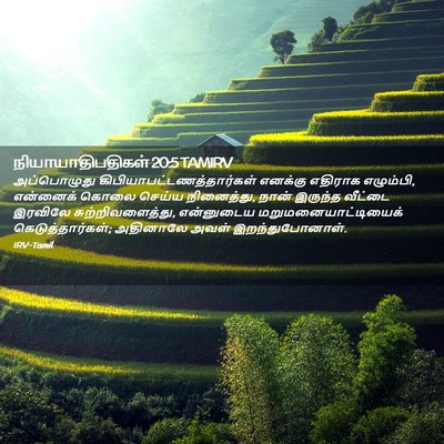 Picture 02 - நியாயாதிபதிகள் 20:5 TAMIRV - அப்பொழுது - Bible Verse Picture